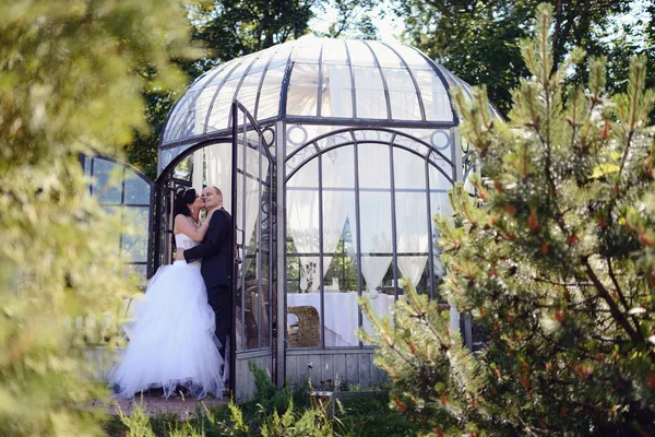 Casamento casal abraçando no parque — Fotografia de Stock