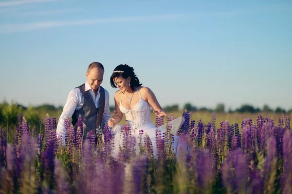 Невеста и жених на лавандовом поле — стоковое фото