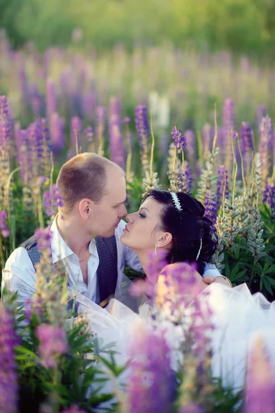 Sposa e sposo in campo di lavanda — Foto Stock