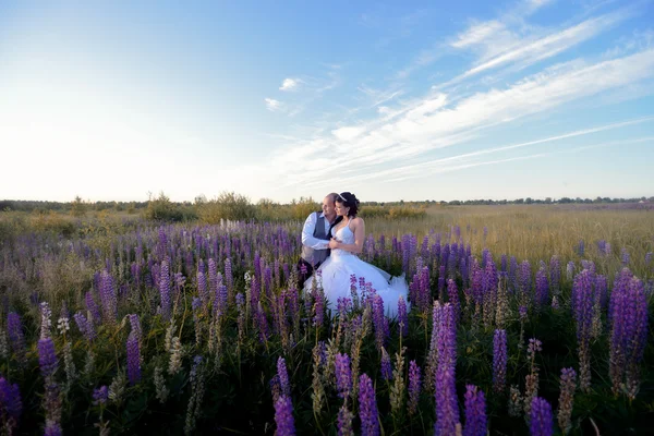 Невеста и жених обнимаются на лавандовом поле — стоковое фото