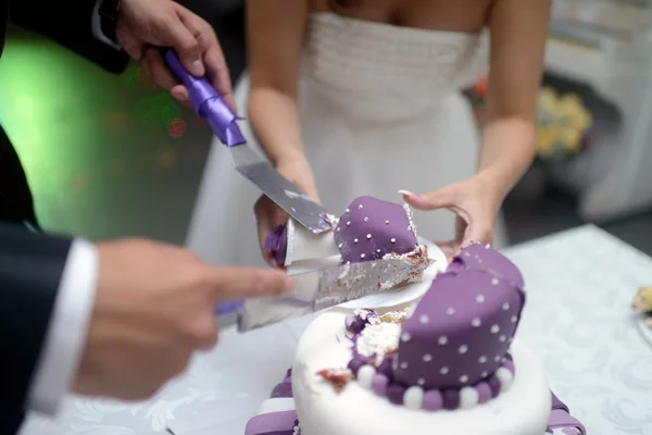 Bride and groom cutting wedding cake — Stock Photo, Image