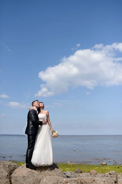 Beautiful wedding couple hugging near lake — Zdjęcie stockowe