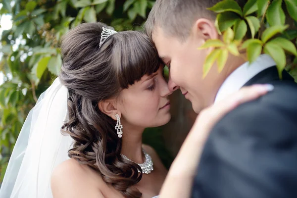 Beautiful wedding couple hugging — Stock Photo, Image