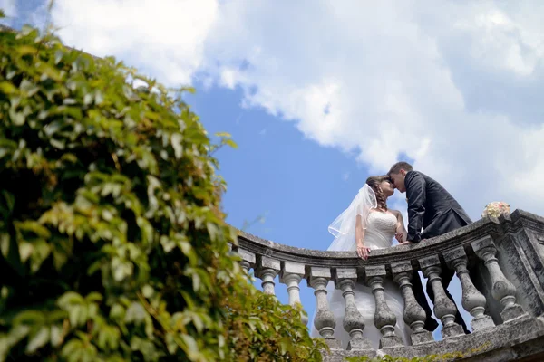 Piękny ślub para w park — Zdjęcie stockowe