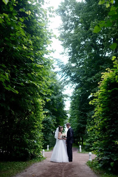 Hochzeitspaar umarmt sich im Park — Stockfoto