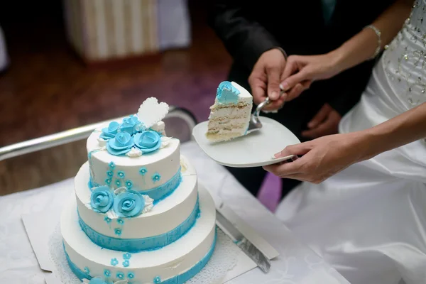 Brud och brudgum skära bröllopstårta — Stockfoto