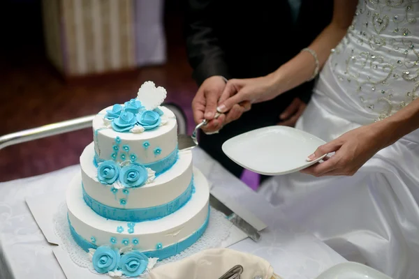 Novia y novio corte pastel de boda — Foto de Stock