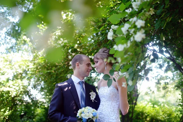 Beautiful wedding couple hugging in park — Stock Photo, Image