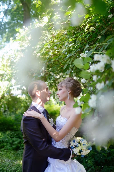 Beautiful wedding couple hugging in park — Stock Photo, Image