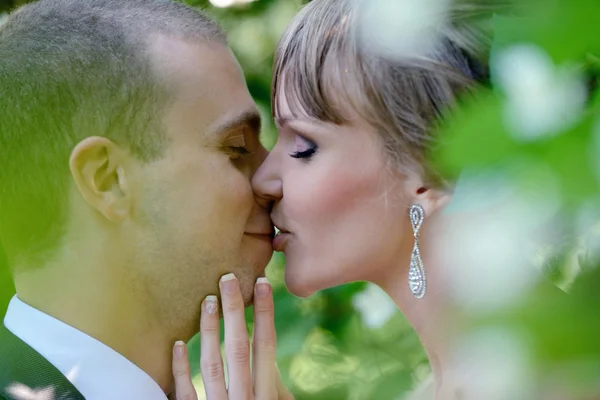 Schönes Hochzeitspaar — Stockfoto