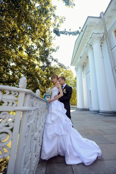 Hermosa pareja de boda abrazos — Foto de Stock