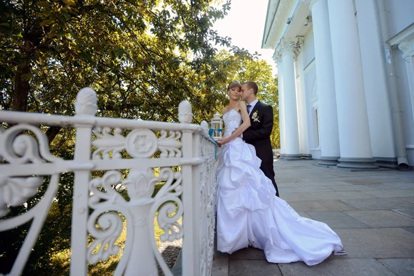 Красива весільна пара обіймає — стокове фото
