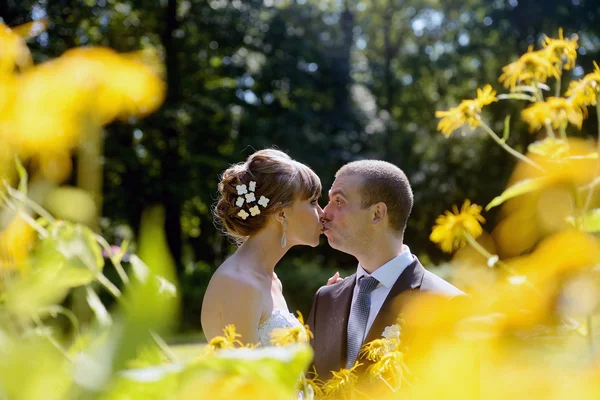 Svatební pár objímat v parku — Stock fotografie