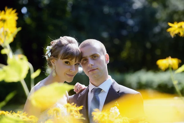 Wedding couple hugging in park — Stock Photo, Image