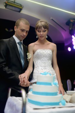 Gelin ve damat düğün pastasını kesiyor