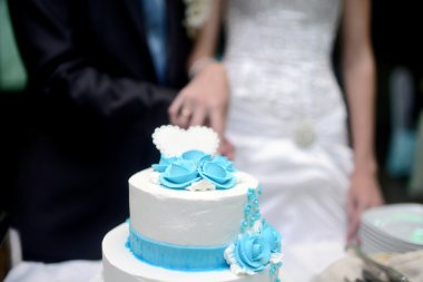 Gelin ve damat düğün pastasını kesiyor