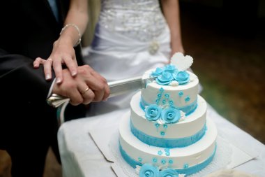 Gelin ve damat düğün pastasını kesiyor