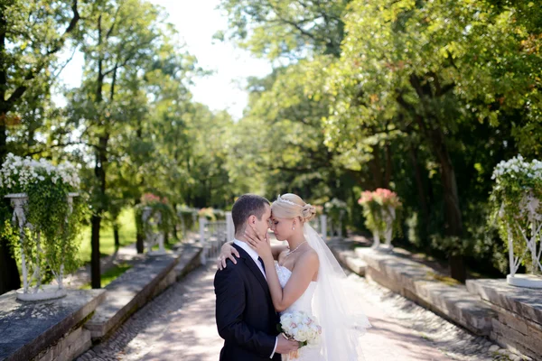 Wedding couple hugging in park — Stock Photo, Image