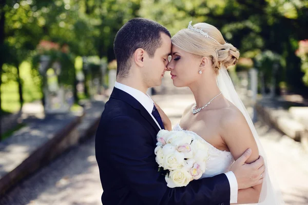 Mooie bruidspaar knuffelen in park — Stockfoto