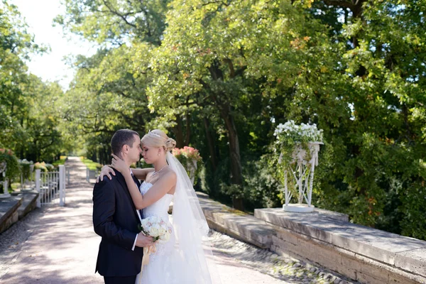 Vackra bröllopsparet kramas i park — Stockfoto
