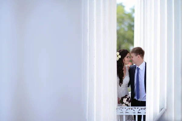 Beautiful wedding couple hugging — Stock Photo, Image