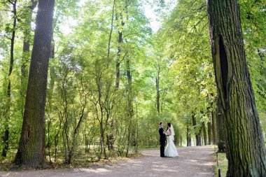 güzel gelin ve damat Park