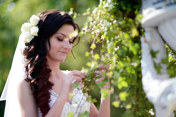 Beautiful bride in park — Stock Photo, Image