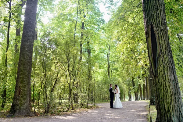 Bella sposa e sposo nel parco — Foto Stock
