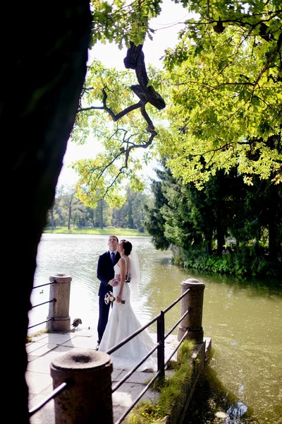 Bela noiva e noivo perto do lago — Fotografia de Stock