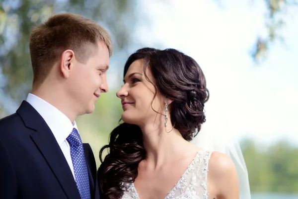 Schönes Hochzeitspaar umarmt — Stockfoto