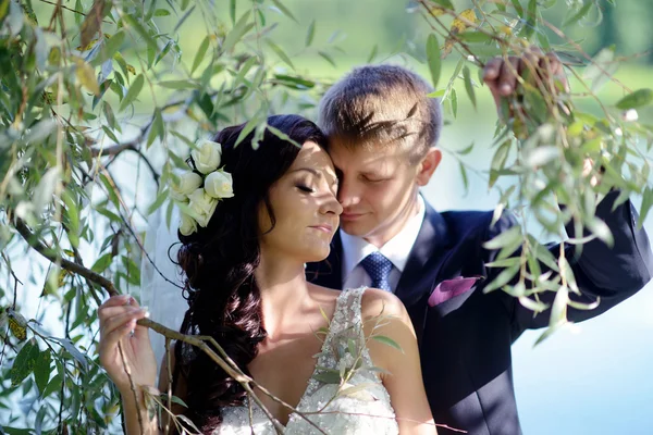 Beautiful wedding couple near lake — Stock Photo, Image