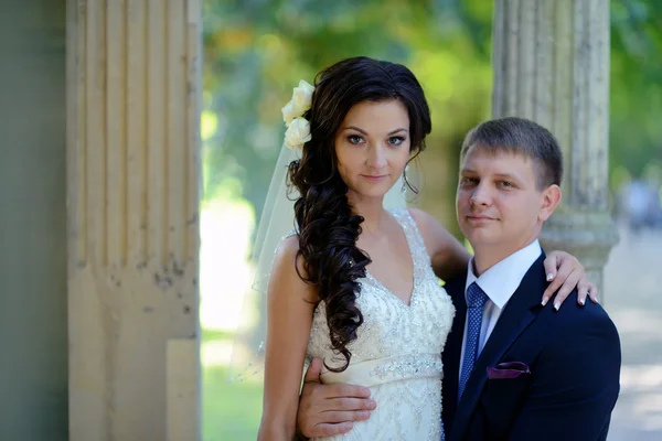 Hermosa pareja de boda —  Fotos de Stock