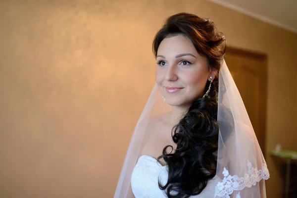 Bruden i bröllopsklänning med spetsar slöja — Stockfoto