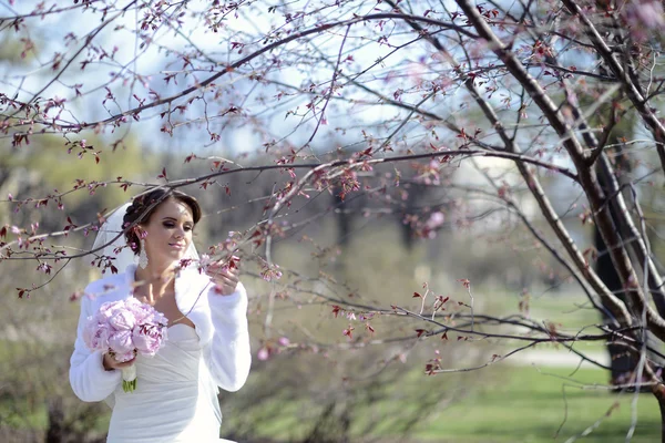 Beautiful bride in bridal gown in park — Stock Photo, Image