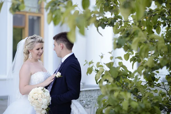 Hermosa pareja de boda abrazos — Foto de Stock