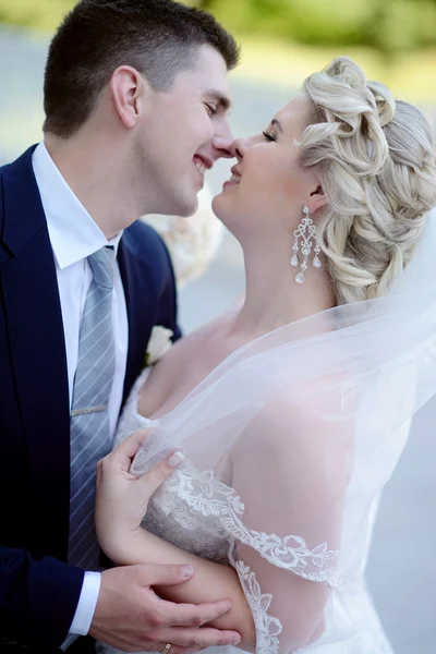 Beautiful bride and groom hugging in park — Stock Photo, Image