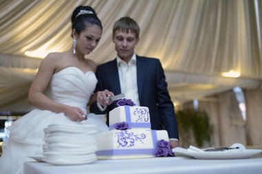 Gelin ve damat düğün pastasını kesiyor