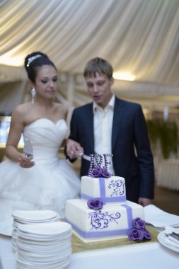 Gelin ve damat düğün pastasını kesiyor