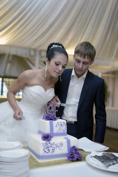 Sposa e sposo taglio torta nuziale — Foto Stock