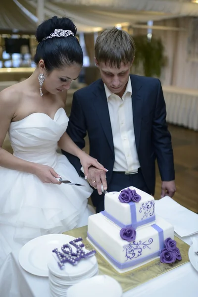 Bride and groom cutting wedding cake — Stock Photo, Image