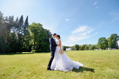 Güzel düğün çifti sarılma