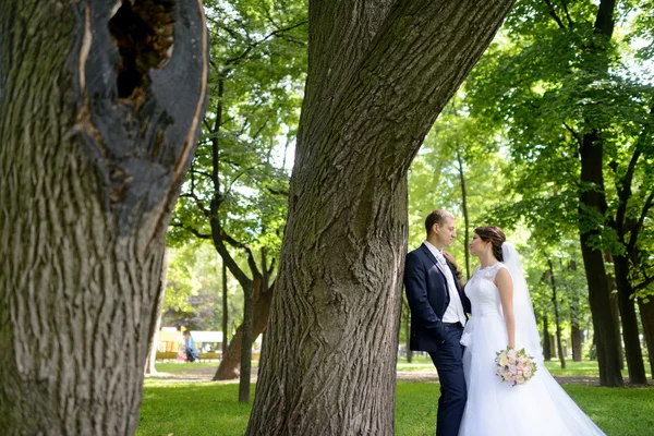 Красива наречена і наречений в парку — стокове фото