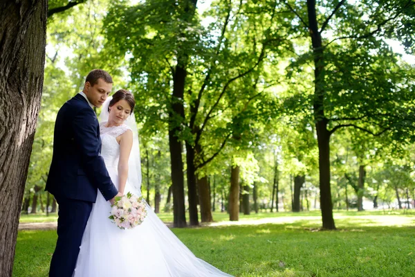 아름 다운 신부와 신랑의 공원에서 — 스톡 사진