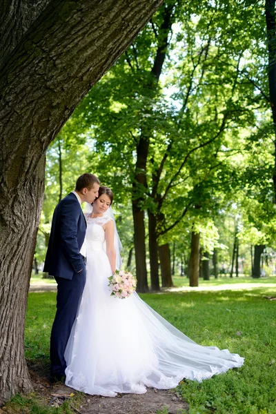 Schönes Brautpaar im Park — Stockfoto