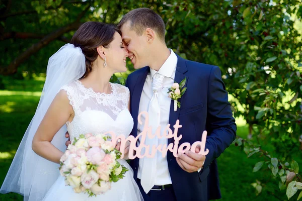 Piękny ślub para przytulanie — Zdjęcie stockowe