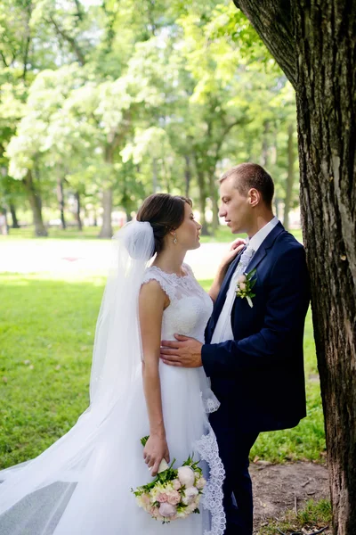 Beautiful bride and groom in park Stock Image