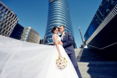 Güzel düğün çifti sarılma