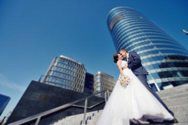 Güzel düğün çifti sarılma