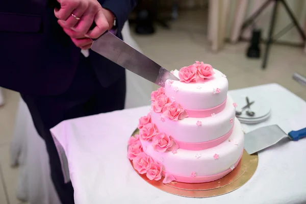 Braut und Bräutigam schneiden Hochzeitstorte — Stockfoto