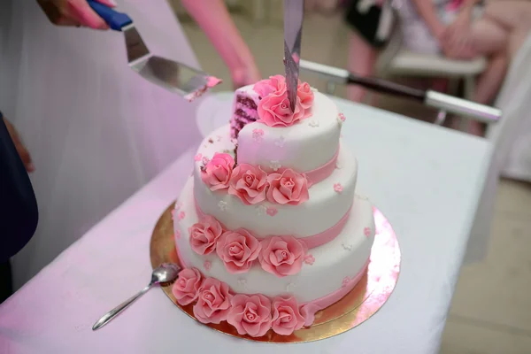 Braut und Bräutigam schneiden Hochzeitstorte — Stockfoto